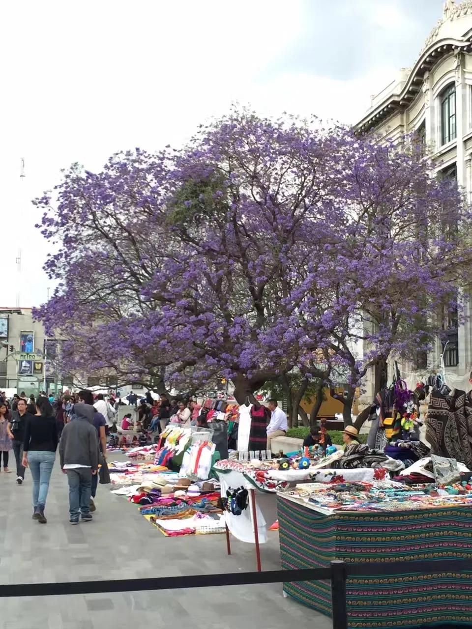 墨西哥城的人情世故,记忆中的墨西哥城