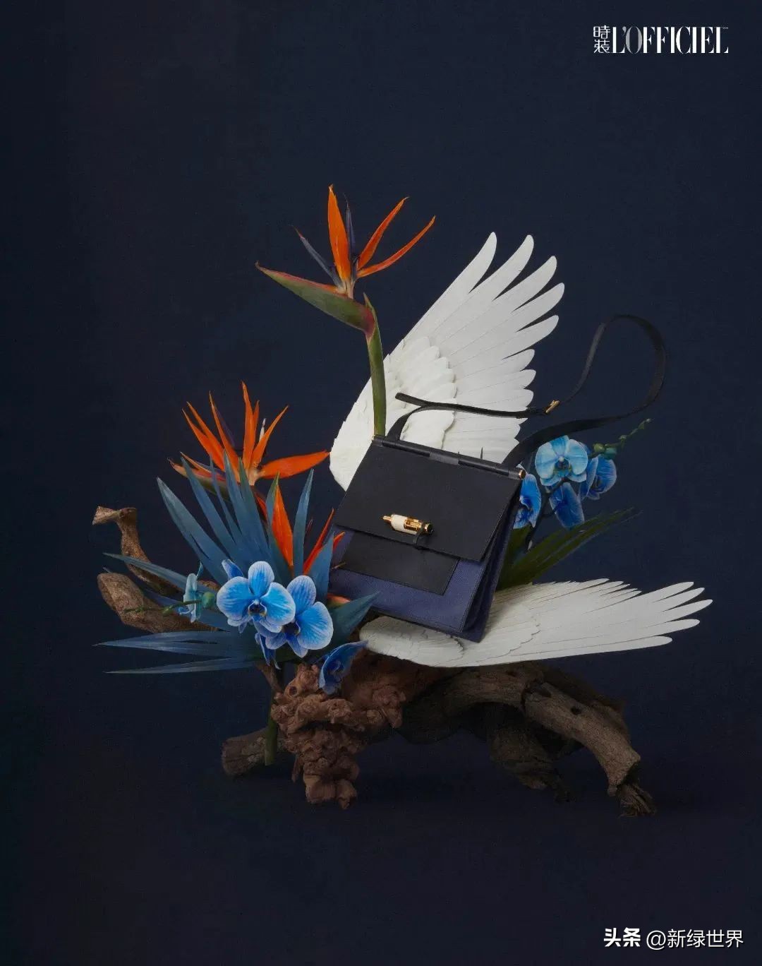 一组纸艺作品,令人惊艳的纸艺作品