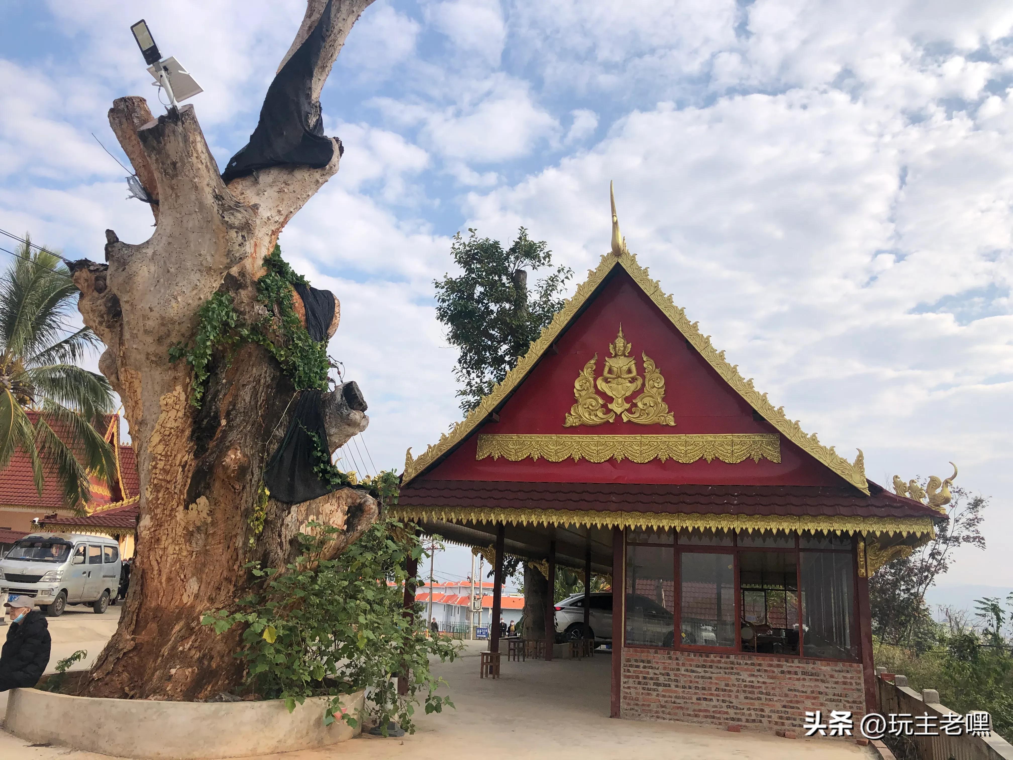 般若寺圣地在哪里,菩提禅寺一方净土