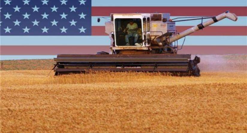 美国为何宁愿倒贴农民，也要把粮食出口到中国，暗地里有何阴谋？