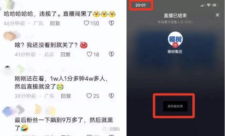 大胆椰树！谁给你胆子搞擦边的？哦，是我们呀…