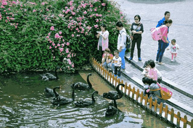 成都这些宝藏公园坐地铁就能耍,成都宝藏地铁旅游攻略