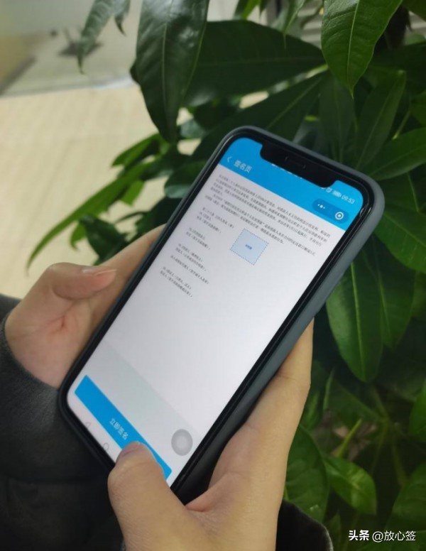电子版个人借款合同范文（仅供参考）