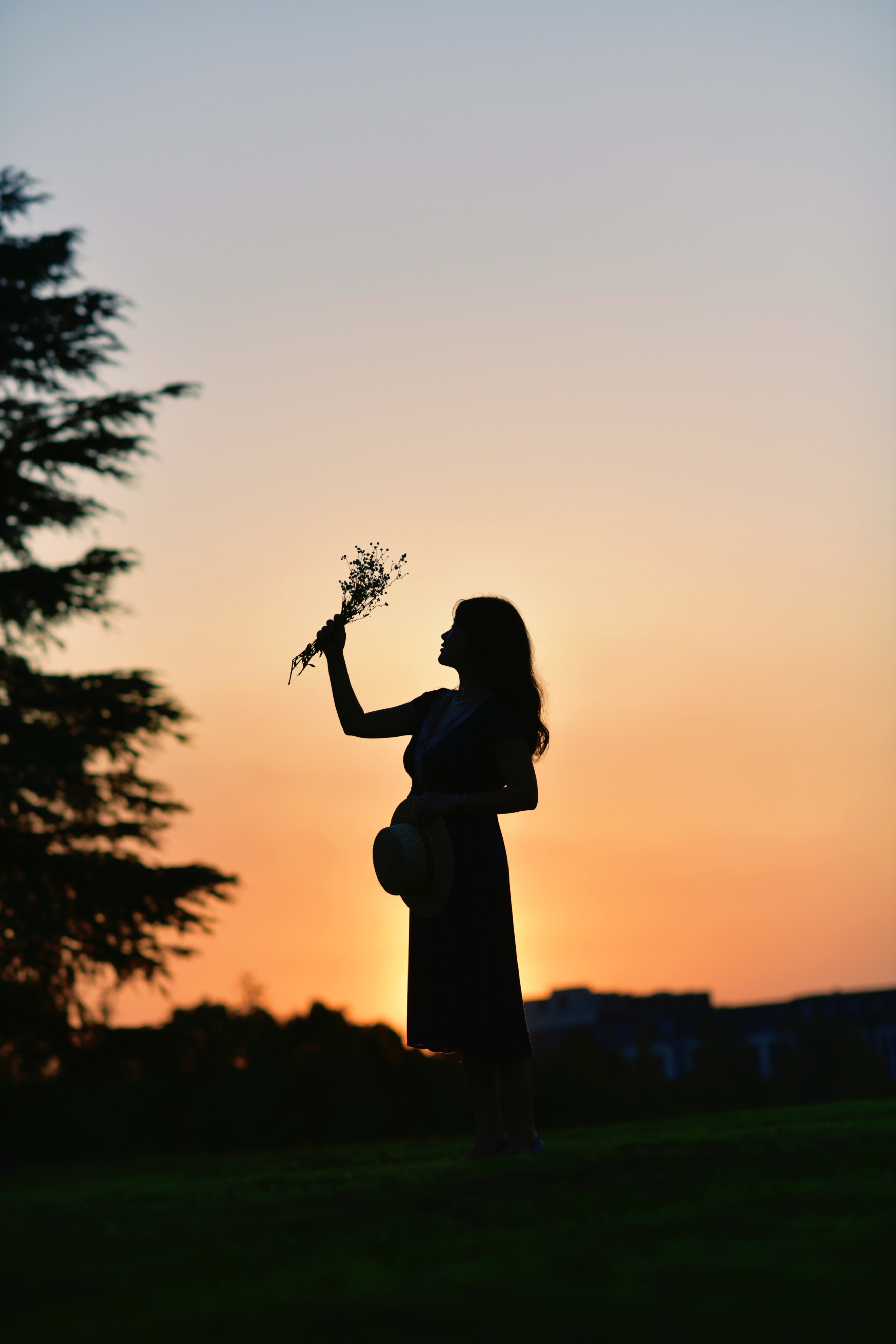 重庆市赏花胜地游玩线路,重庆渝北周边赏花地点推荐