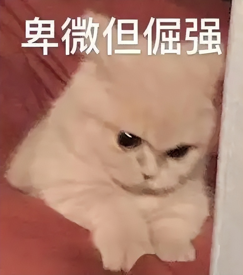 超人救了全世界却救不了你,游戏改编的美剧猎魔人