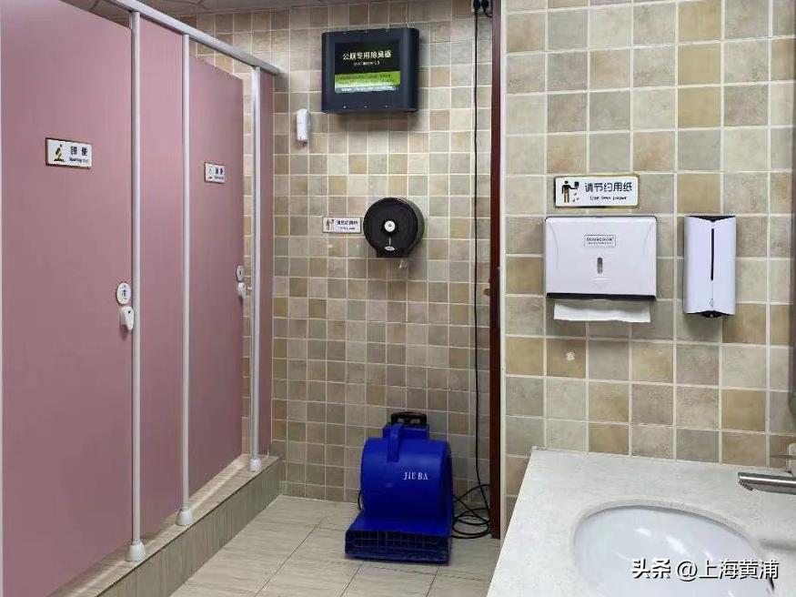 世界厕所日要做什么,世界厕所日