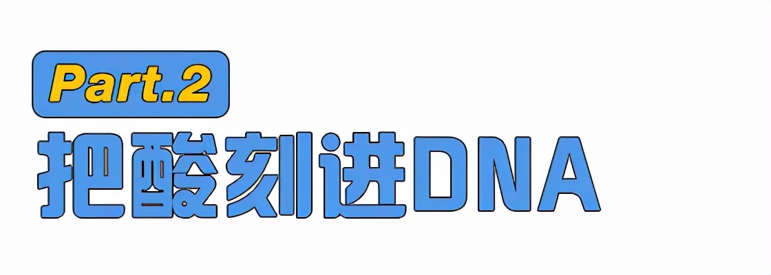 吃了这碗酸饭，才懂什么叫山西猛汉