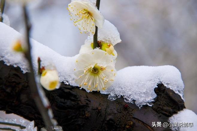 当爱情来临的时候，和一位空军的故事