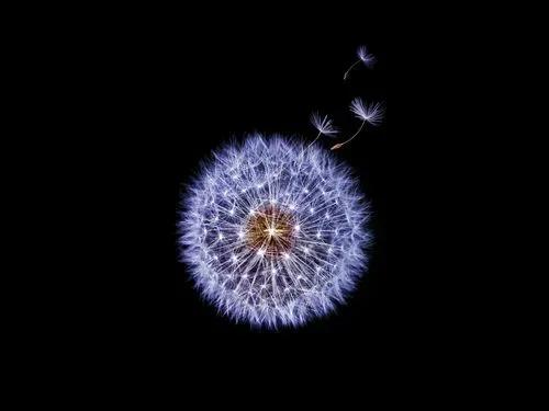 微信个性签名励志正能量语录,个性签名短句语录大全