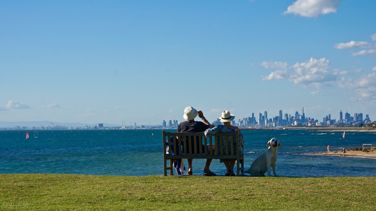 理想的生活在线观看完整版,理想的生活