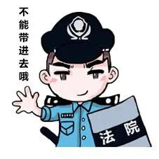 法院安检应注意哪些问题,法院安检最新规定