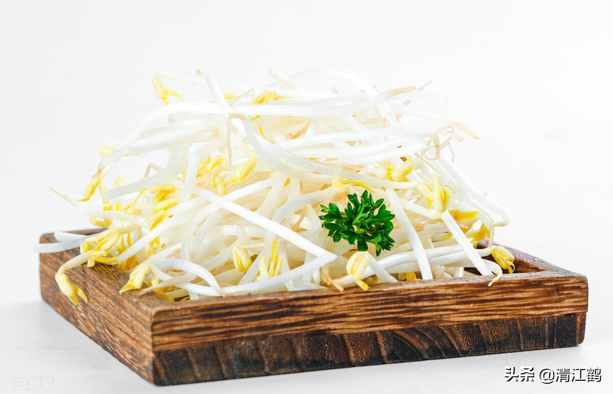 做豆腐和生豆芽哪个更赚钱,豆芽高产的秘诀