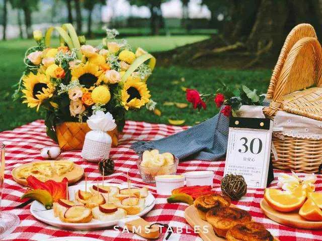 户外野餐没烤炉带什么,露营烧烤带什么食材好