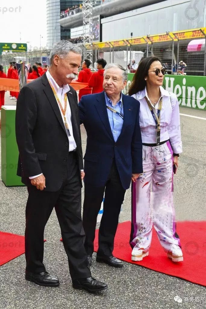 杨紫琼高定礼服闪耀戛纳红毯,杨紫琼携手老公亮相奥斯卡红毯