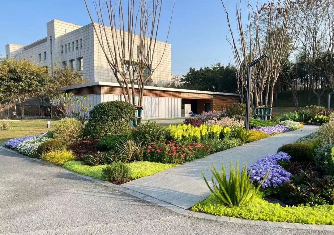 幸福成都美丽家园,幸福成都成就梦想