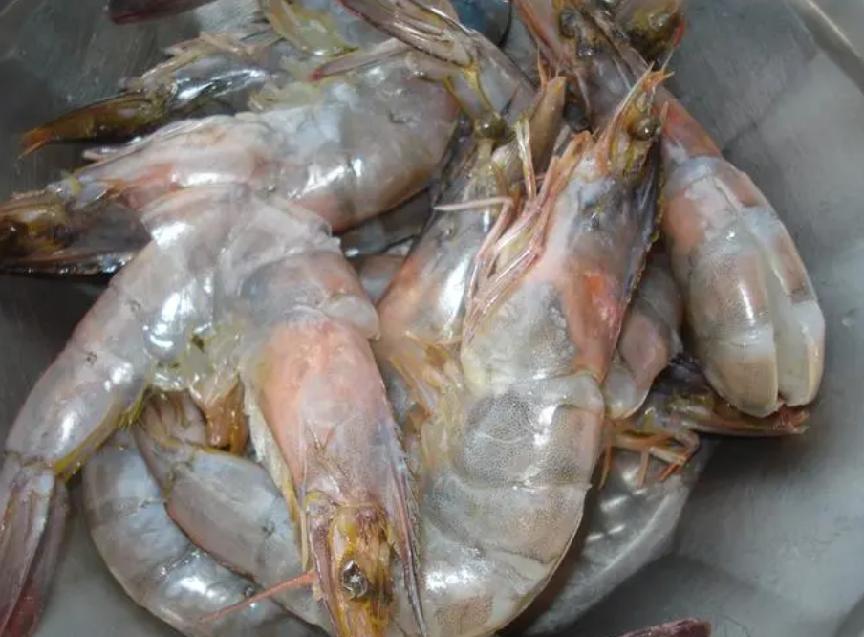 冻虾直虾和弯虾有什么区别,买大虾选直虾还是弯虾