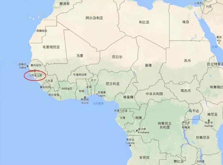 日本人兽杂交实验被允许，这是否违背伦理常纲？是创新还是灾难？