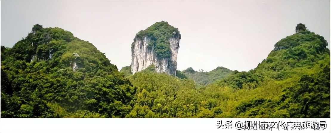 状元楼里出状元,山里的状元