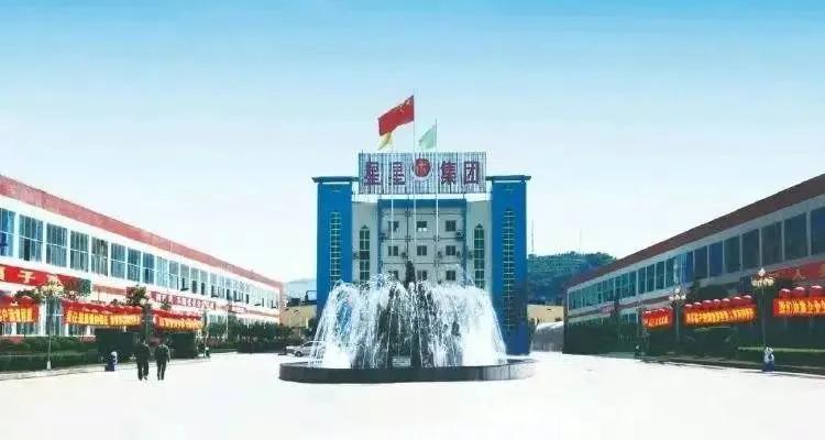 重庆银星集团破产清算新闻,重庆星星套装门厂重组现状