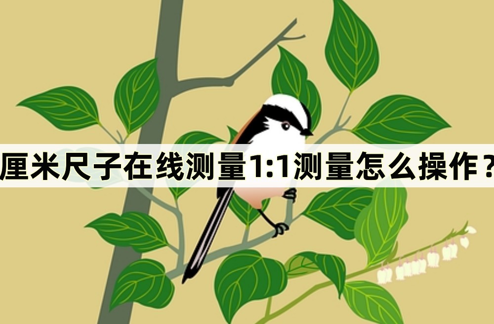 尺子在线测量怎么使用,厘米尺的正确测量方法