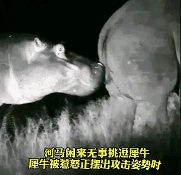 今日动图：前不久交了一位女朋友，昨天晚上约会时忍不住吻了她