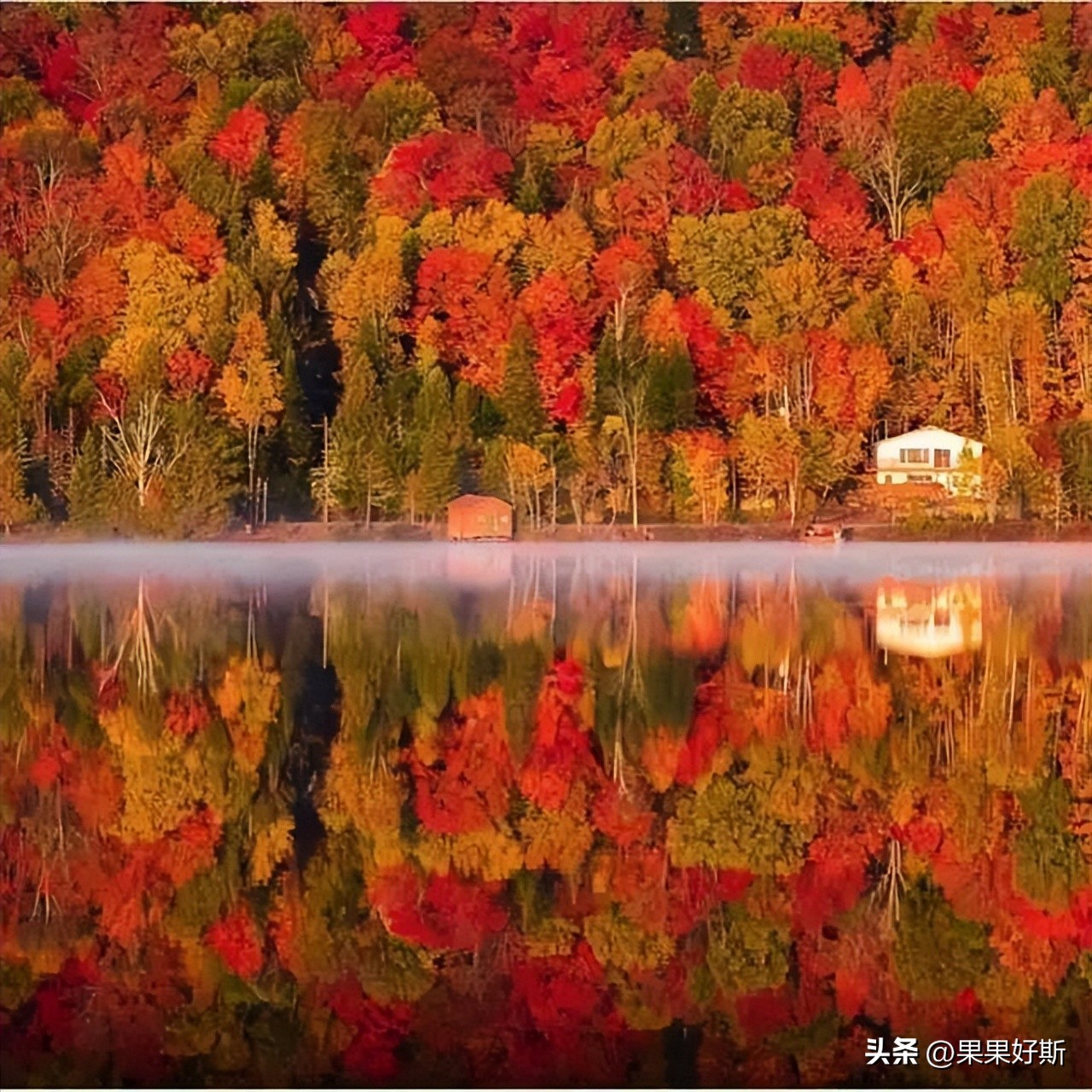 加拿大枫叶之国简介,加拿大被称为枫叶之国