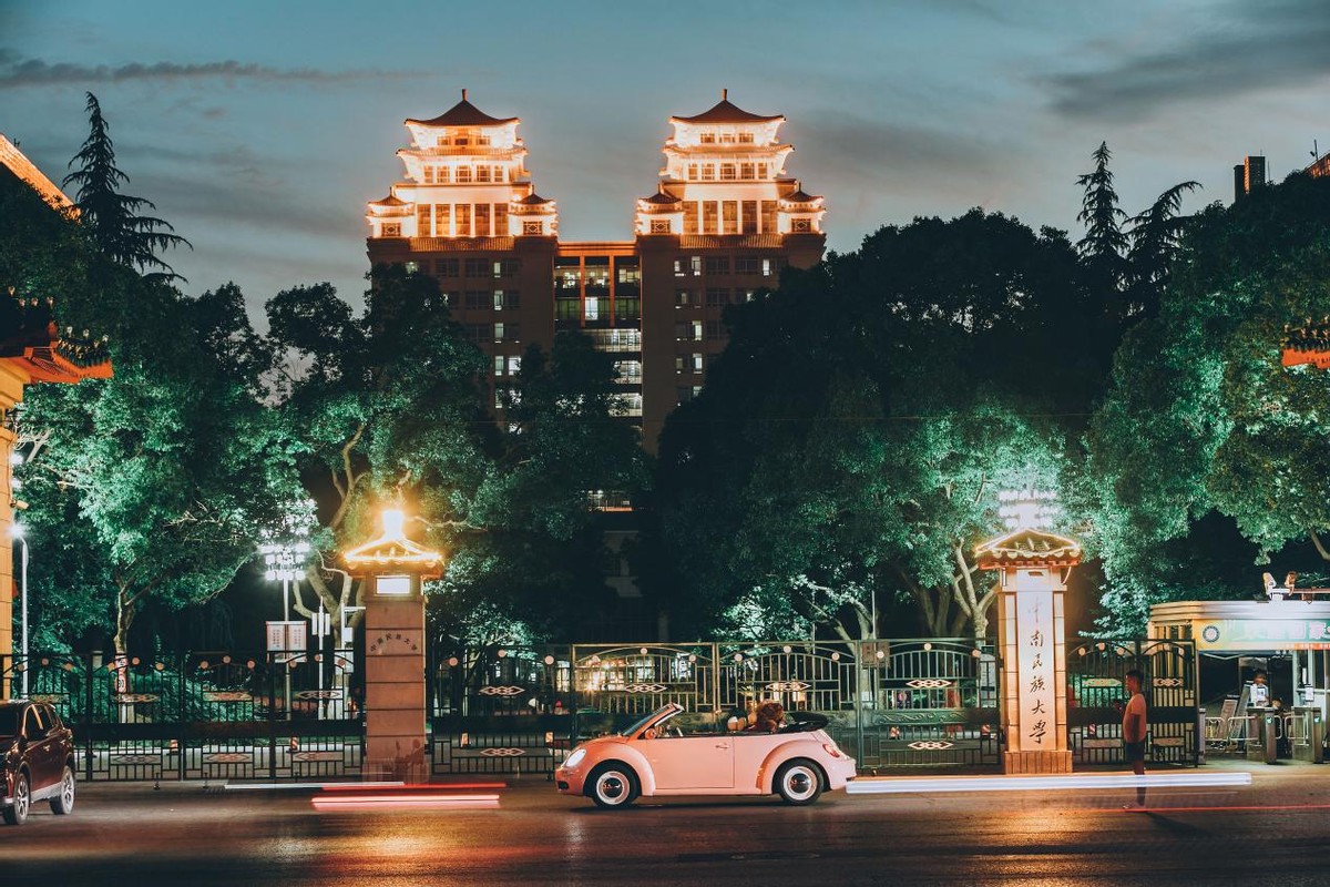 甲壳虫夜晚的图片,美丽的甲壳虫图片