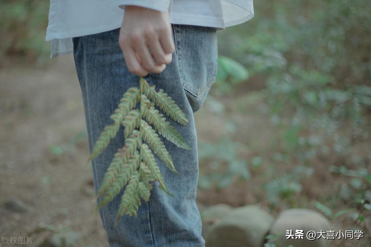 六月文案高级感有深度,三月高级文案干净治愈