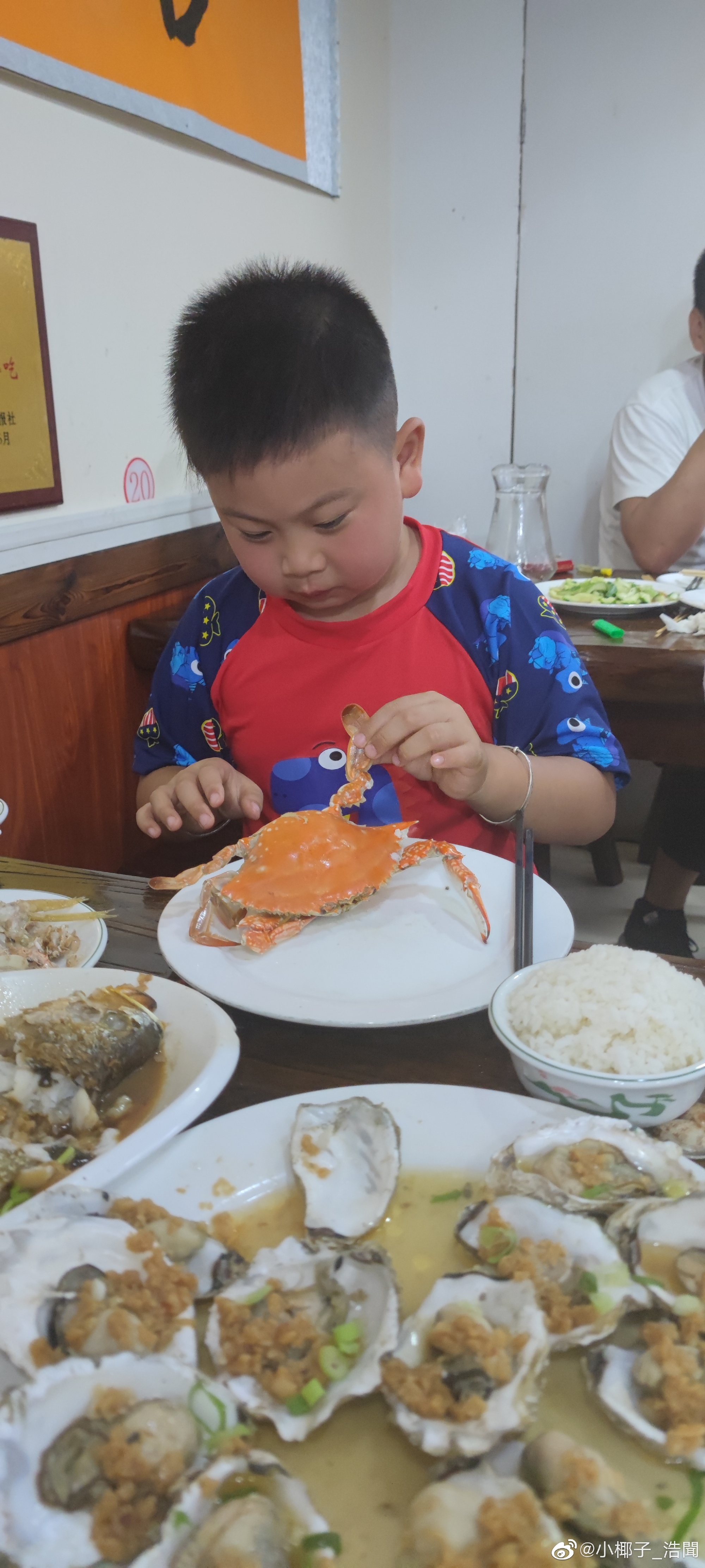 暑假十天山东半岛沿海亲子自驾游记，有详细花费记账