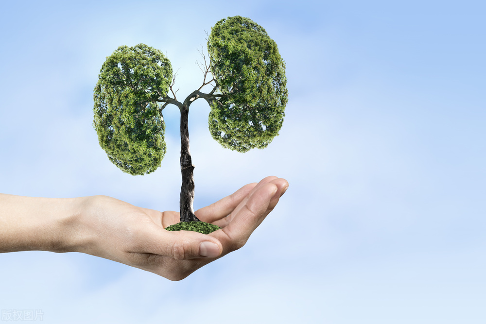 干粉吸入剂的正确使用方法是什么,吸入剂的合理使用