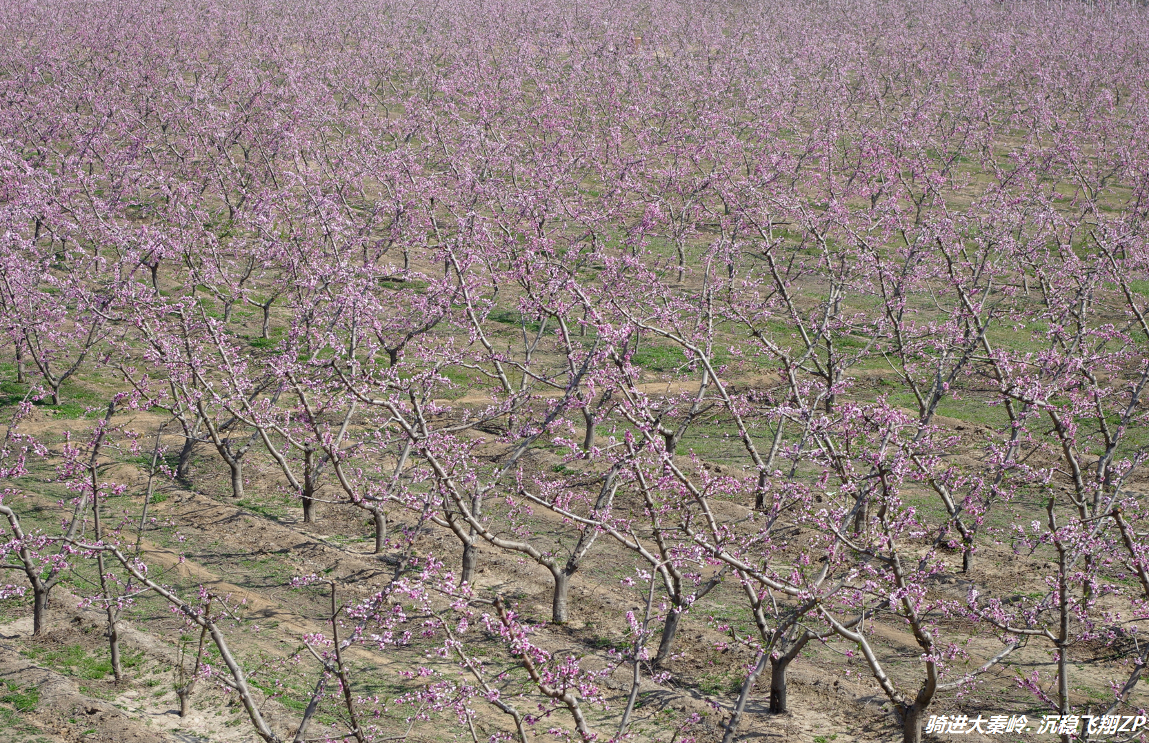骑摩托洛阳出发秦岭,骑电动车从西安到洛阳