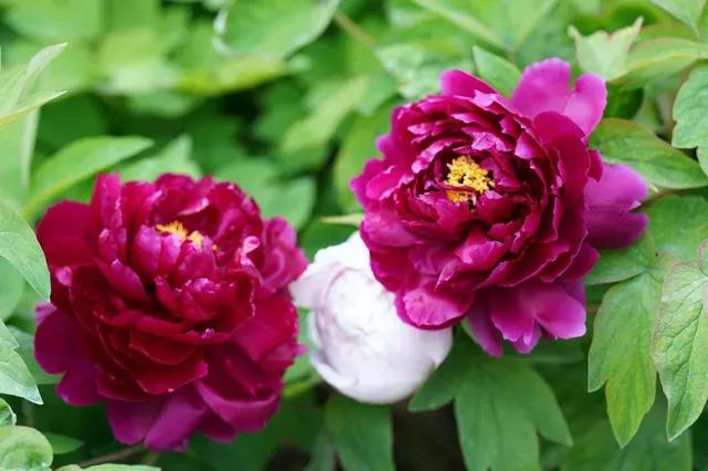 瞻仰胡氏受姓始祖公满陵墓及观光沿途景物