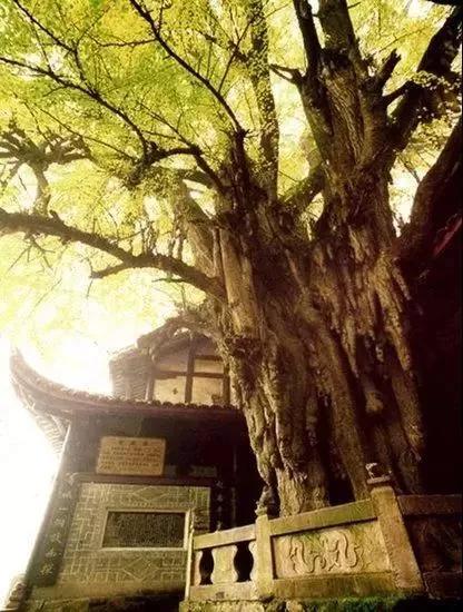 道教四大名山四川成都,道教名山青城山旅游攻略