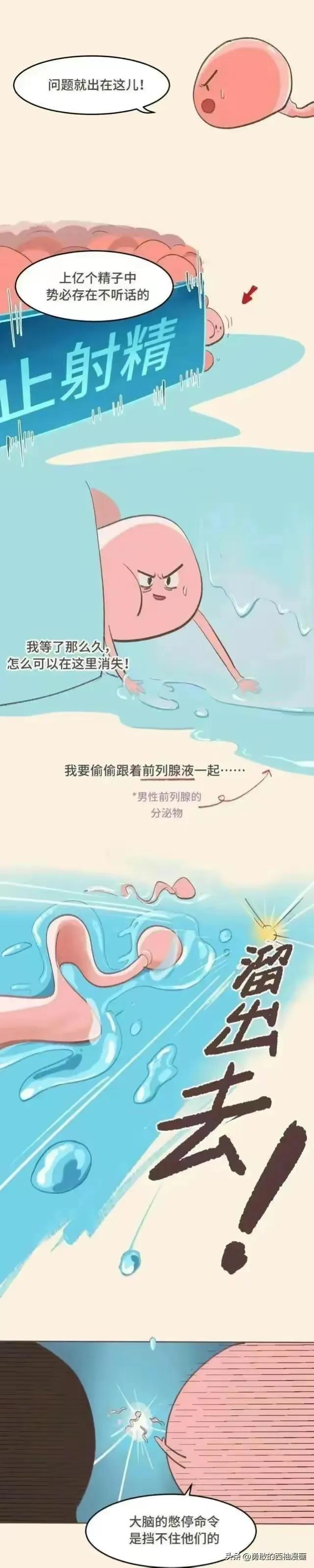 正经科普：体外射精真的可以避孕吗？（漫画）