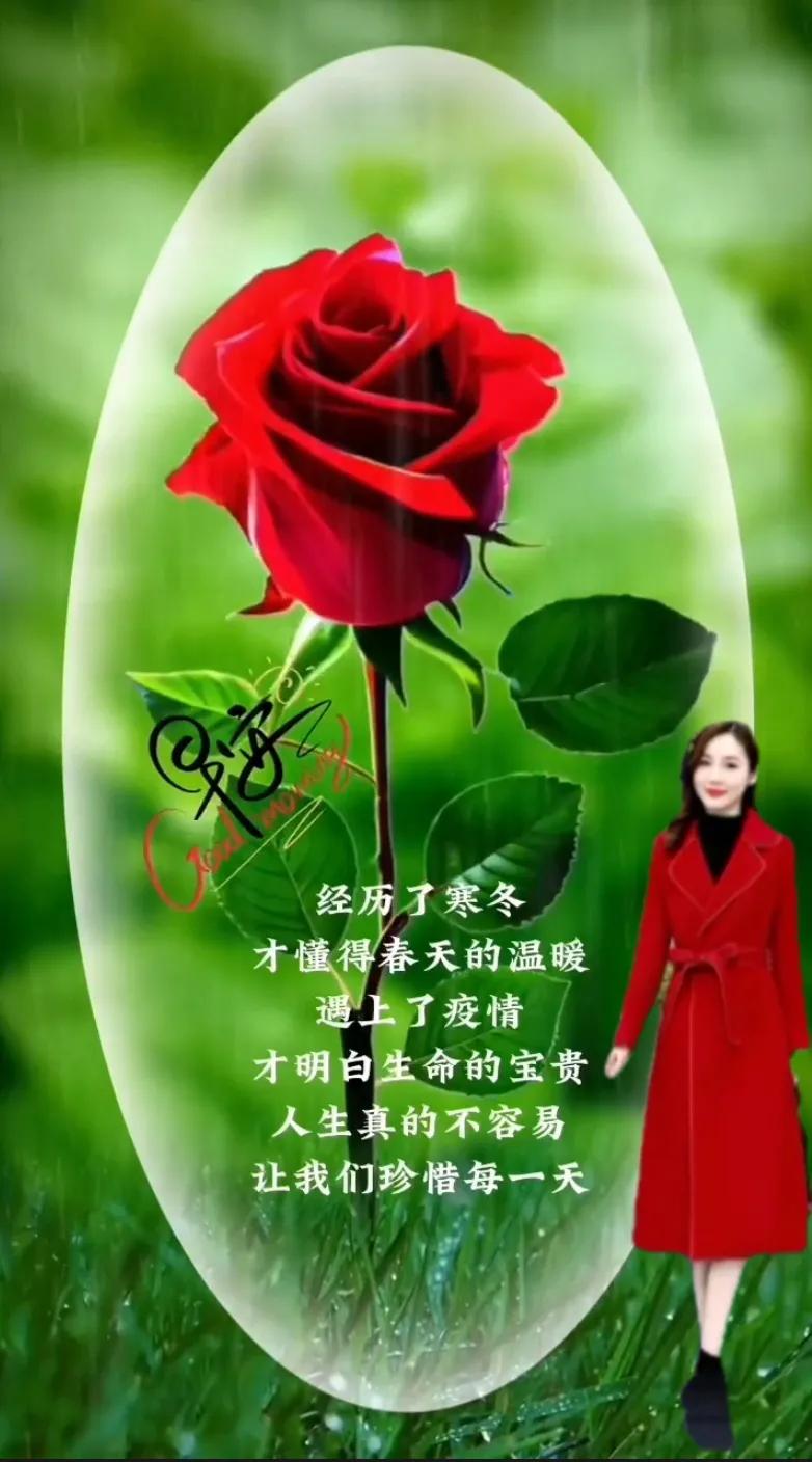 早安时光～2023年1月第9日星期一早安图文分享