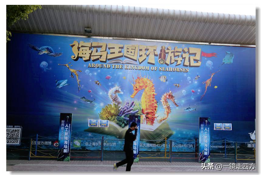 上海长风海洋公园和自然博物馆,上海长风公园占地面积