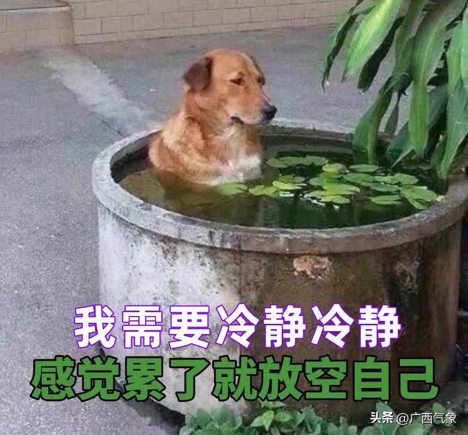 明后几号有大暴雨天气,明后两天天气预报有大雨吗