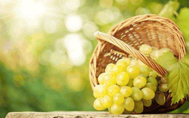 最好吃的爆浆葡萄,香甜爆汁葡萄