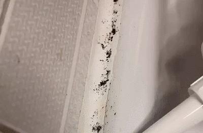 瓷砖缝发霉变黑怎么去除,瓷砖缝发霉清洗用什么擦