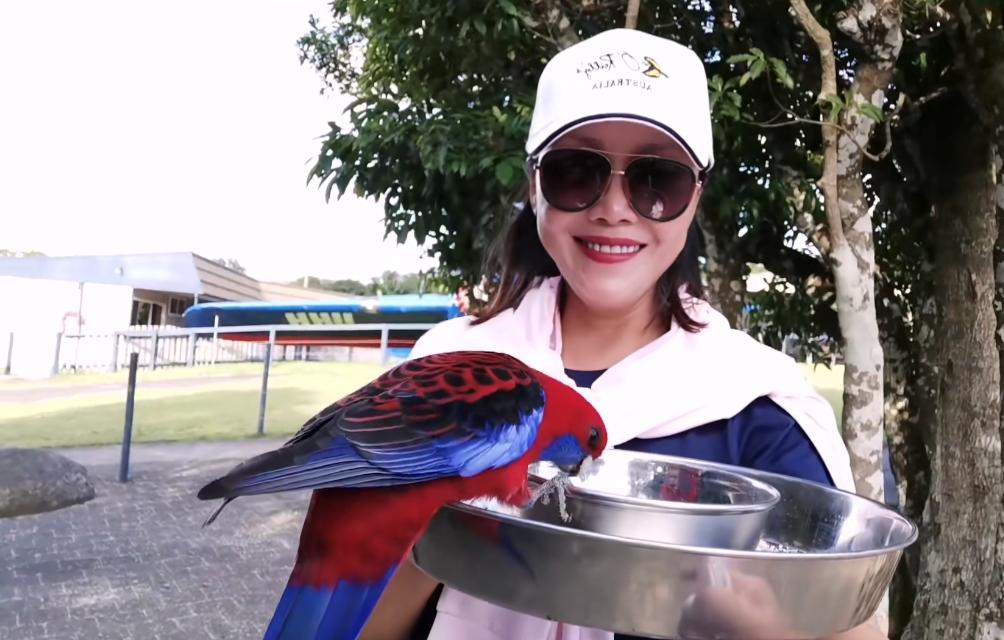 田震经典短发造型,田震穿中山装刚出道