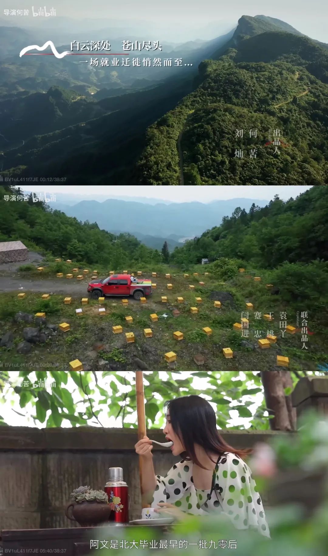 康洪雷、王伟两大导演另辟战场,7部农村田园剧乘时而起