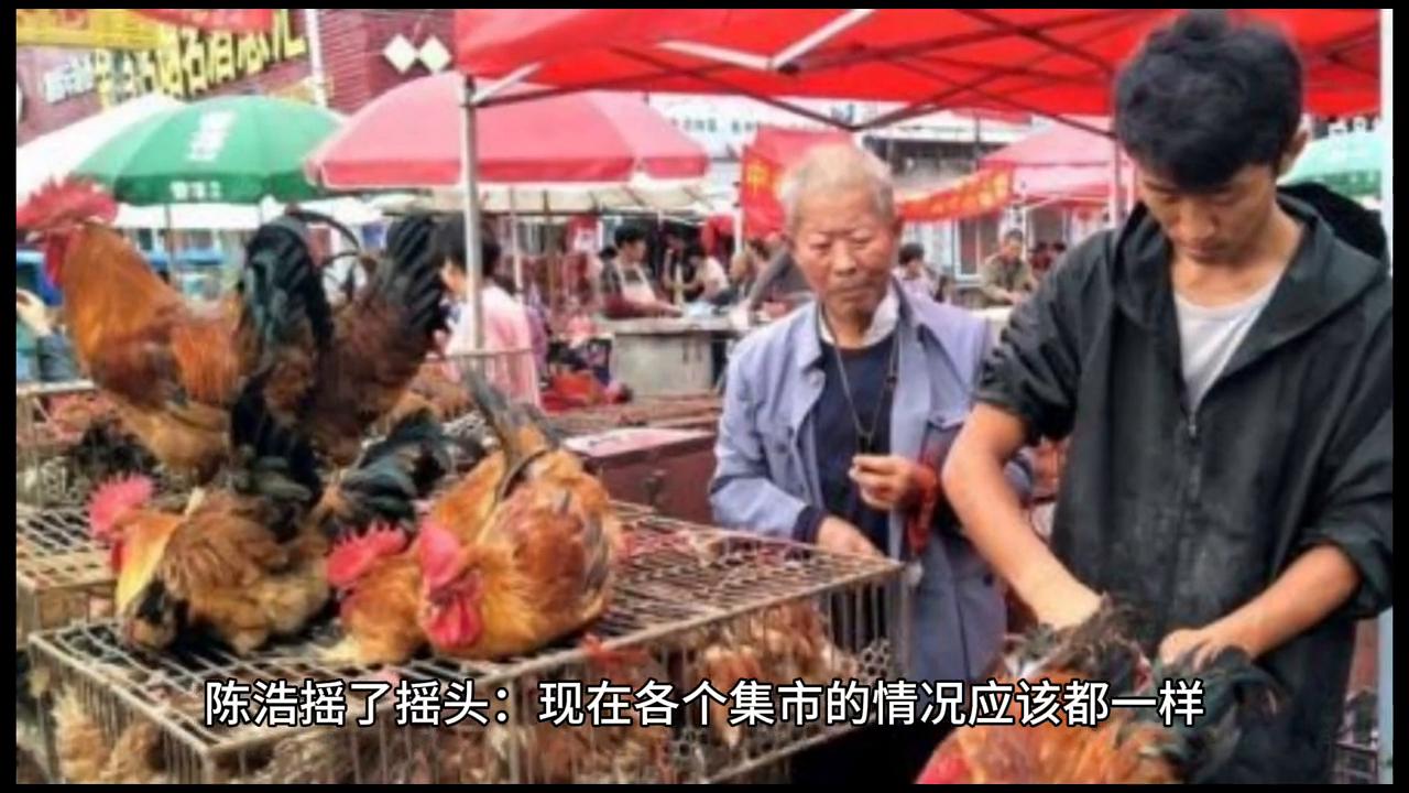 小小说金麻雀奖作品,小小说案件