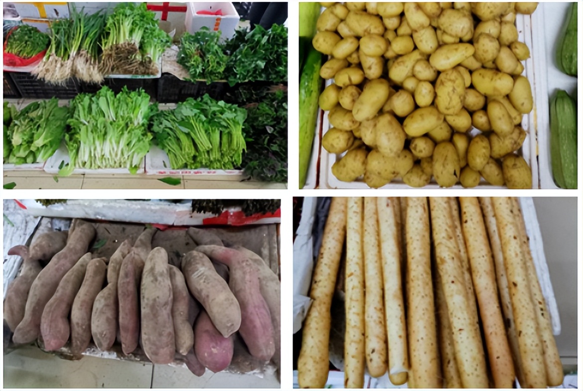 “无癌镇”科考成果丰硕