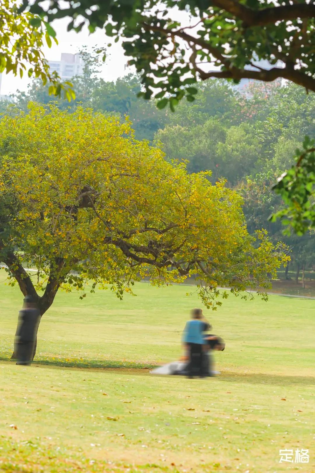 深圳最值得爬的景点,深圳十大最值得爬的山