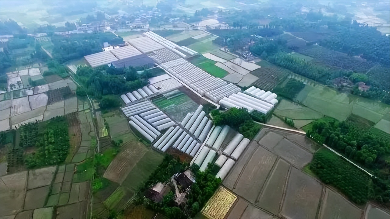 农业发展温室大棚的优点,田园综合体蔬菜大棚