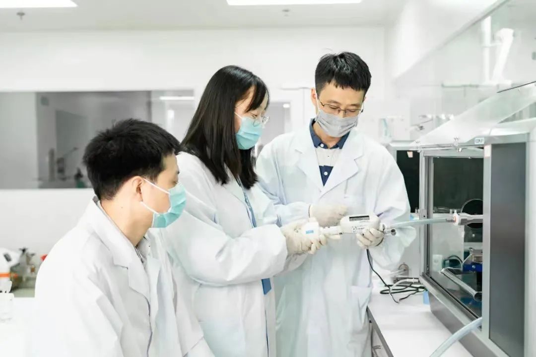 2023年温江区生产总值,温江区2020总税收