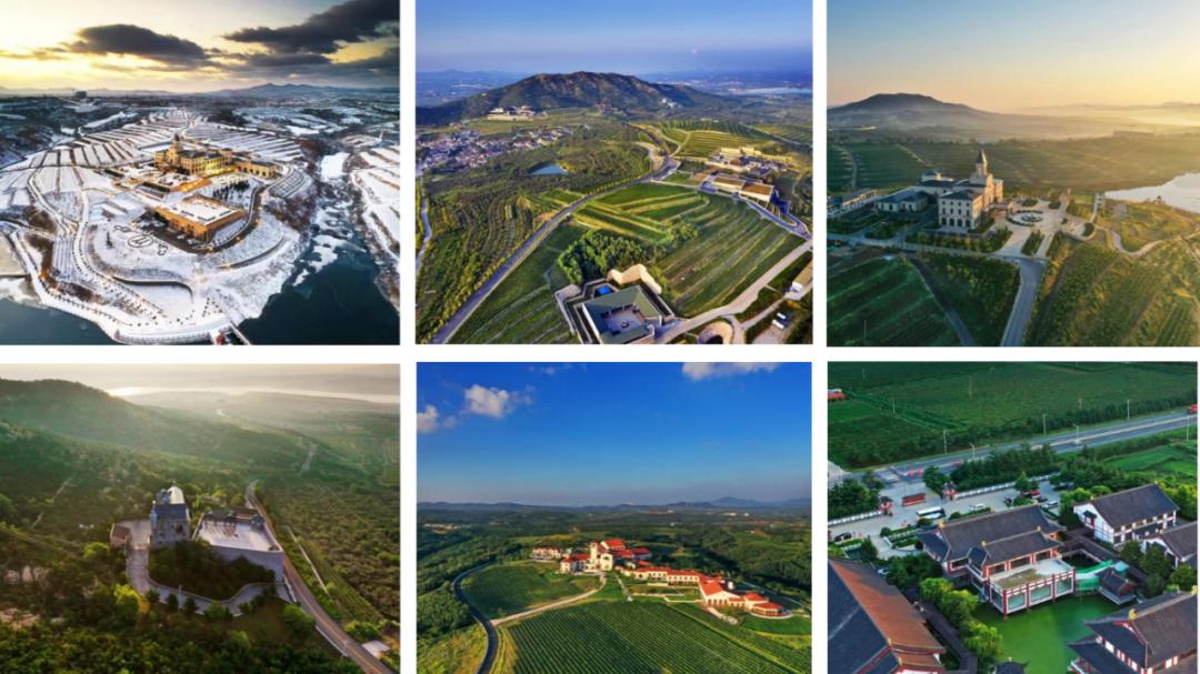 拉菲蓬莱珑岱酒庄正式开庄,拉菲蓬莱敦岱酒庄