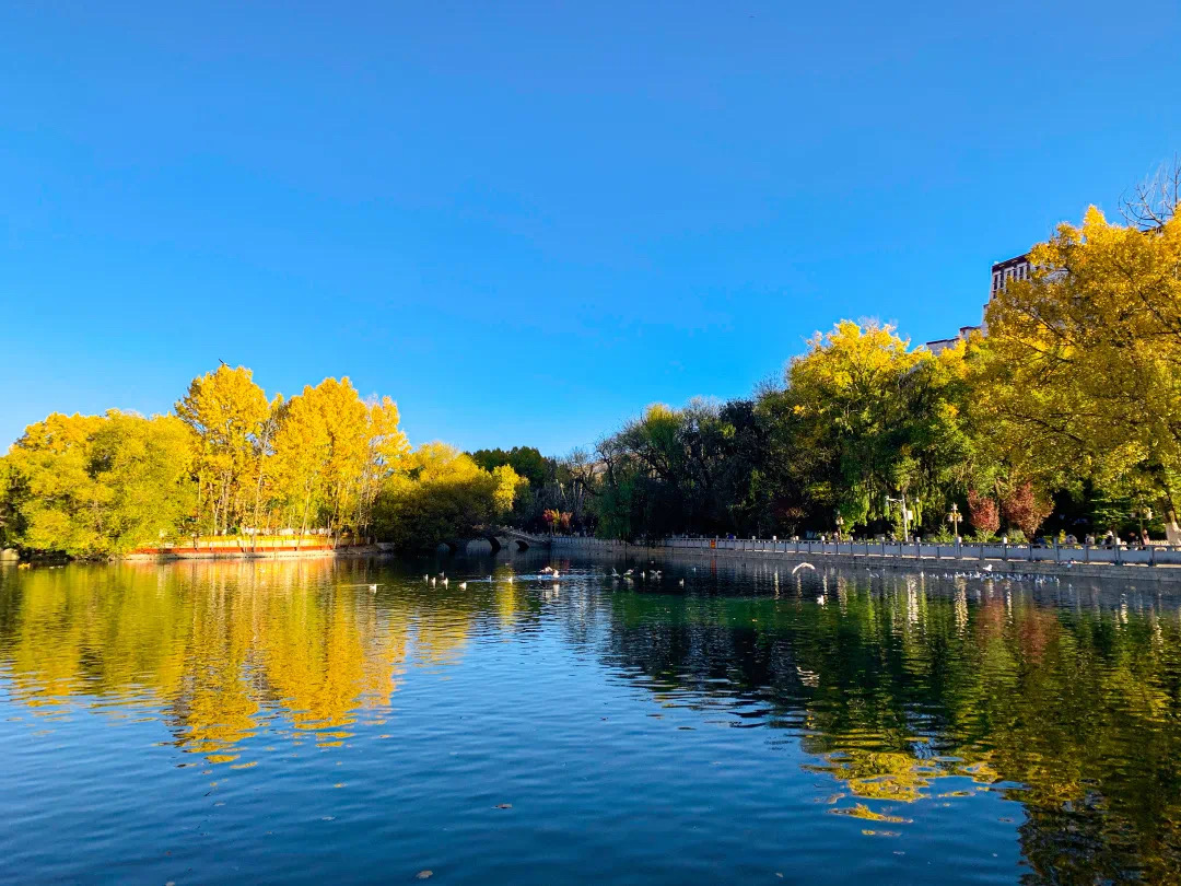 错过了十月的*藏西**，你就错过了这个星球最壮丽的秋色
