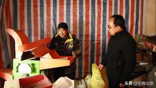 商丘市柘城的白菜挂在网上卖？还有更多致富门路呢