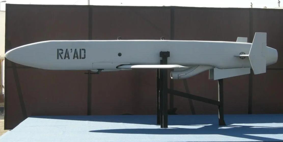 明明互为死敌，印巴却做出相同选择，巴铁买歼10或并非用于空战？